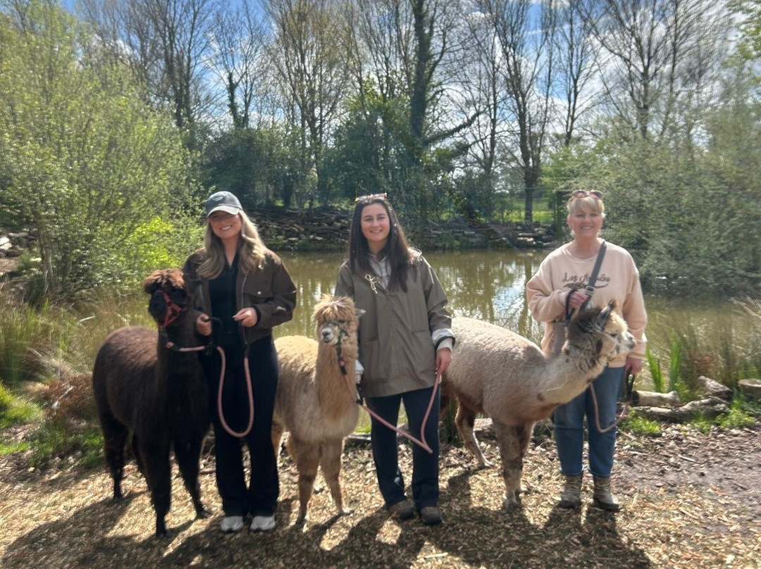 Nanny Sharon's Alpaca Farm C.I.C-Prenton必去景点