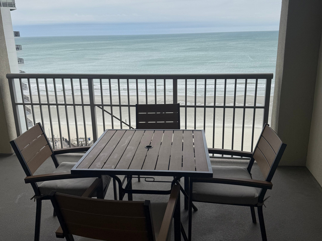 皇家棕榈公寓主图