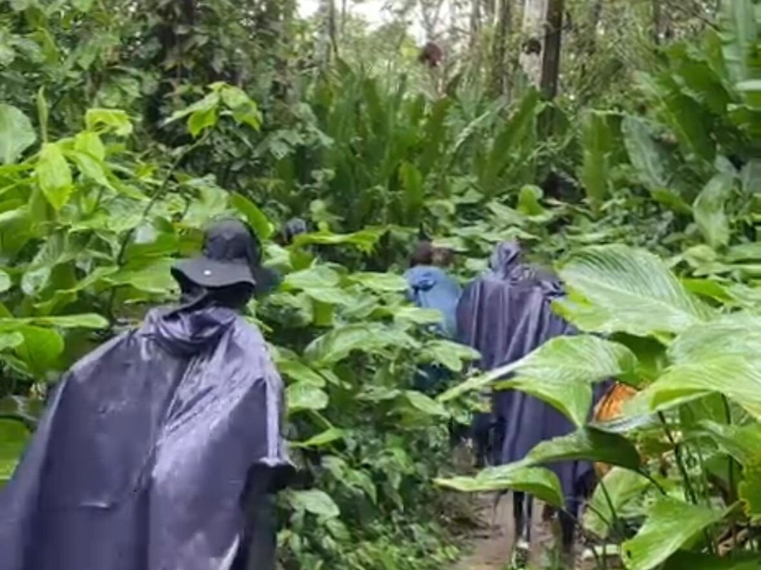 Amaselva Tours - Colombia Amazon-Puerto Narino必去景点