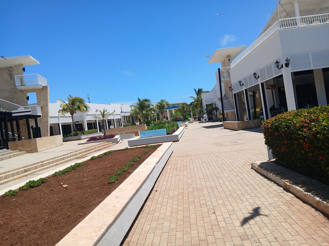 Paradisus Los Cayos主图