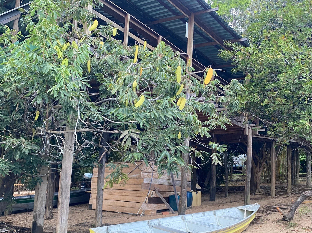Tapiri Lodge