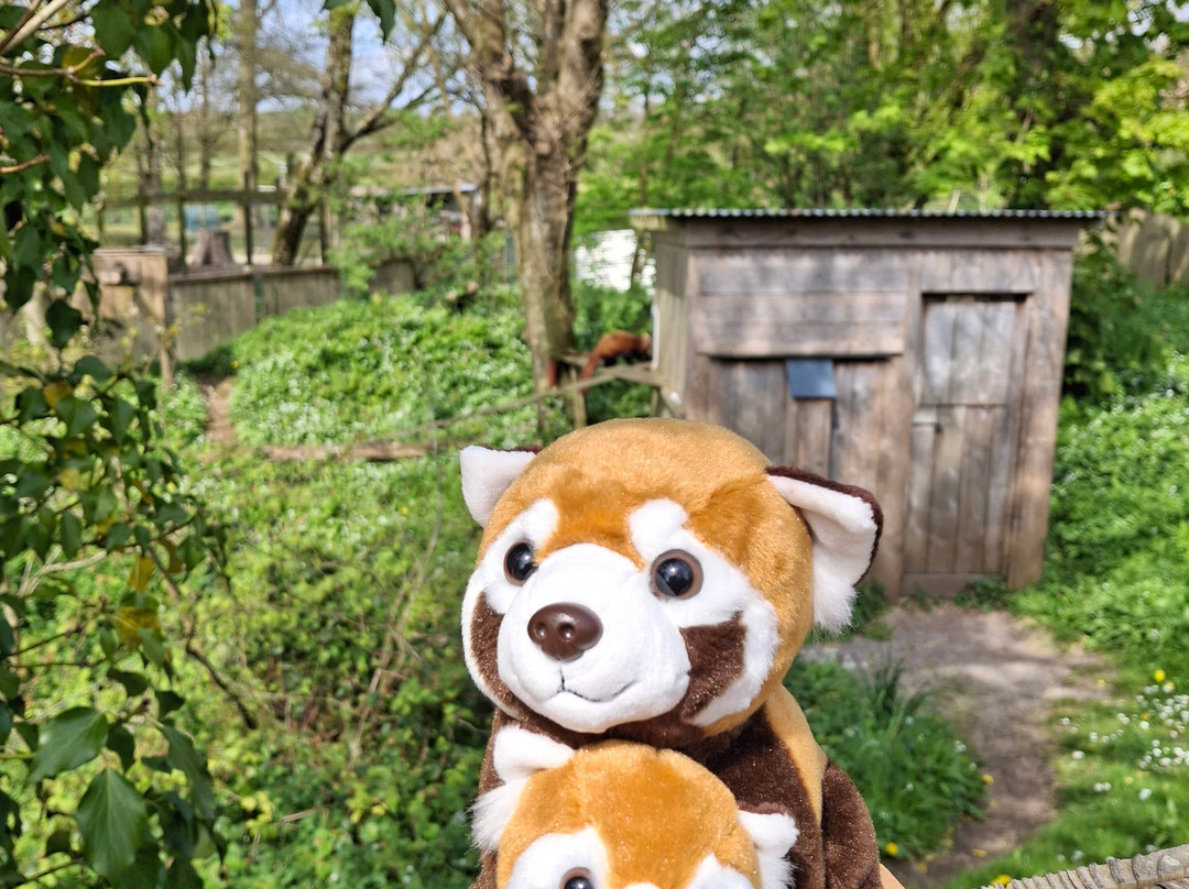 Manor Wildlife Park-St. Florence必去景点