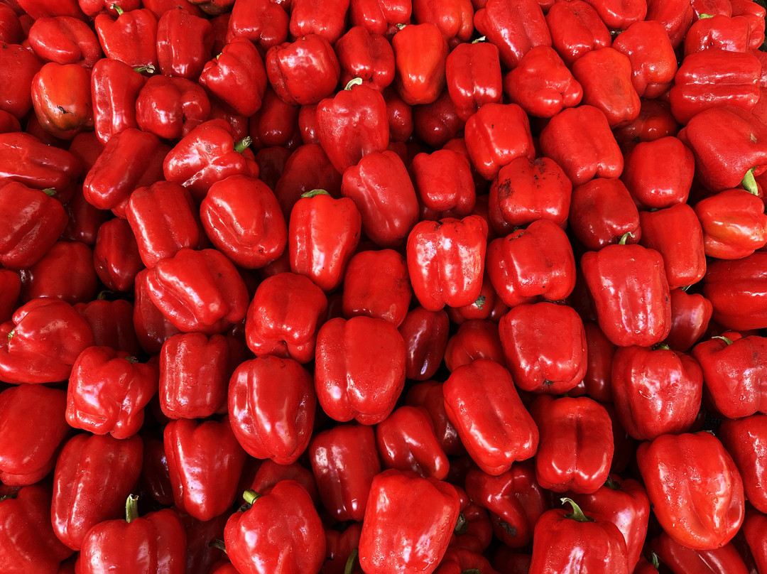 Bedner's Farm Fresh Market-德拉海滩必去景点
