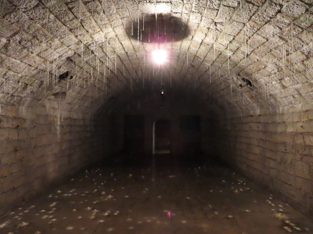 Fort Douaumont