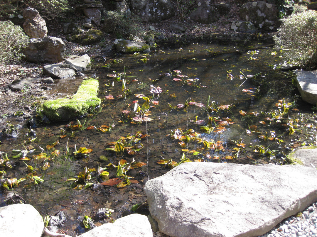 Ganshoin Temple-小布施町必去景点