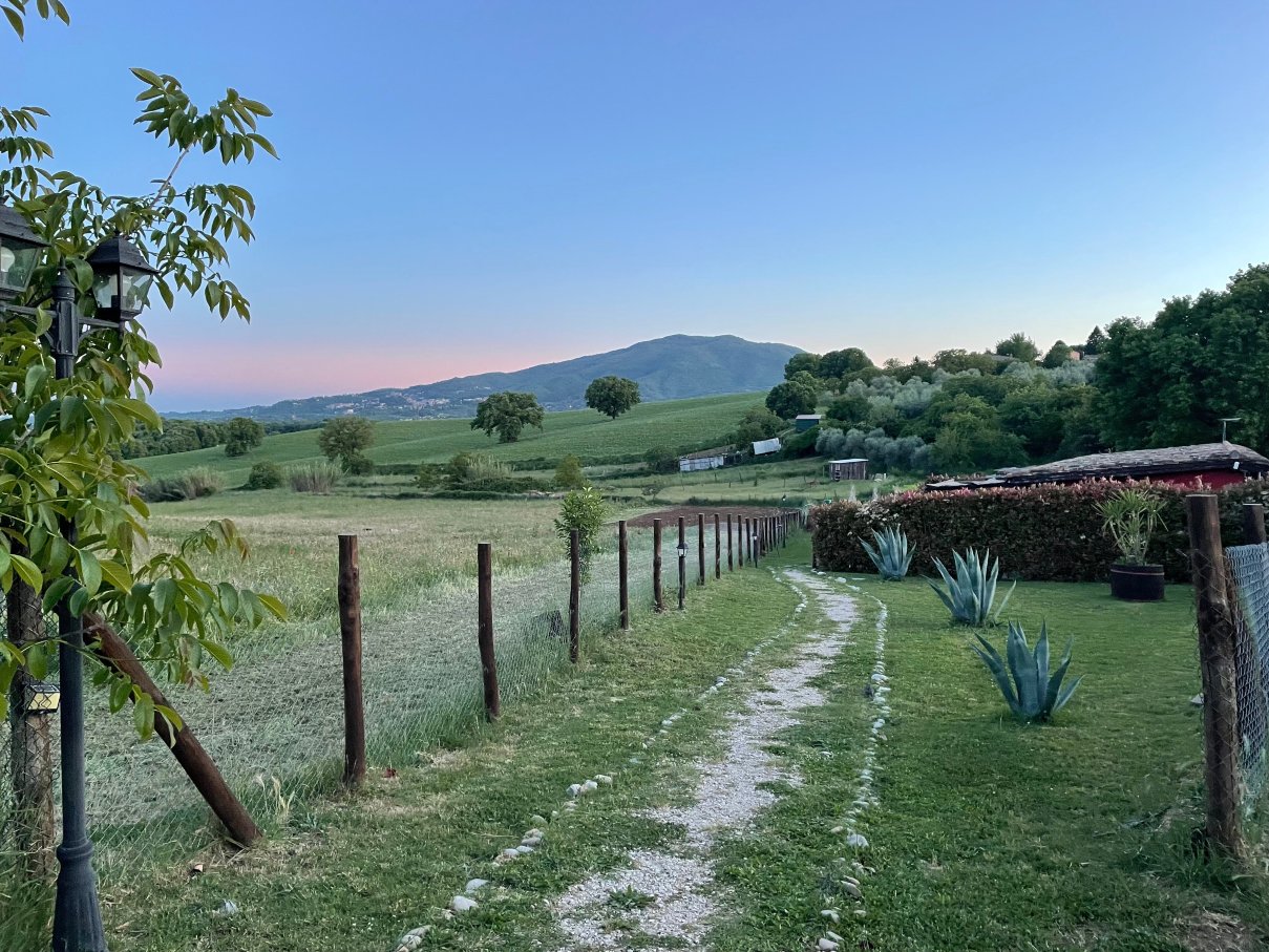 Agriturismo Poggio Degli Ulivi-旅行者