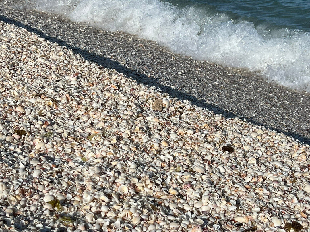 Nokomis Beach-Nokomis必去景点