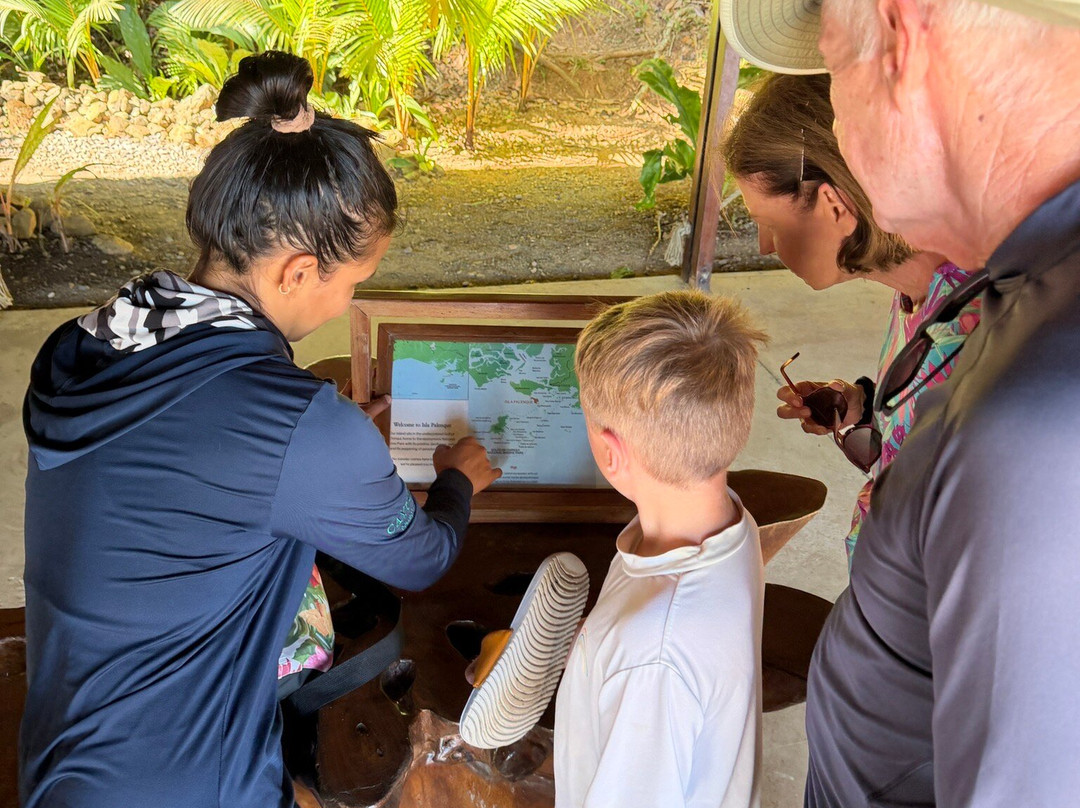 Isla Palenque Cayuga收藏成员主图