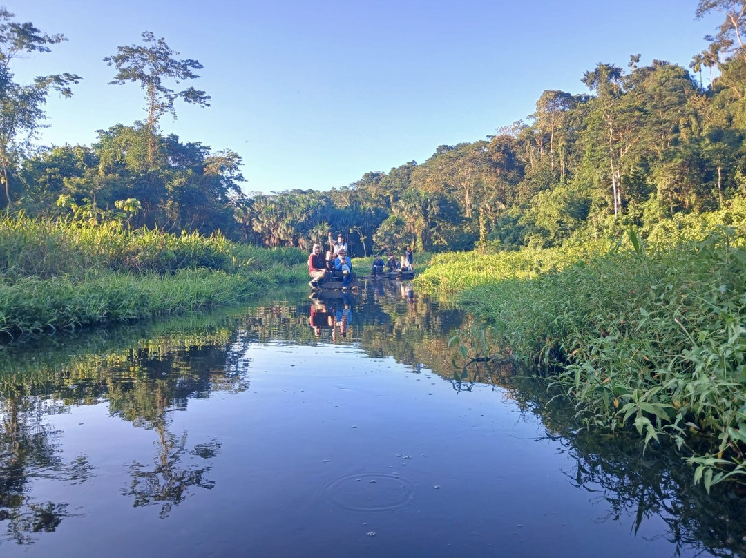 Inkamazonia Jungle Specialist-Manu必去景点