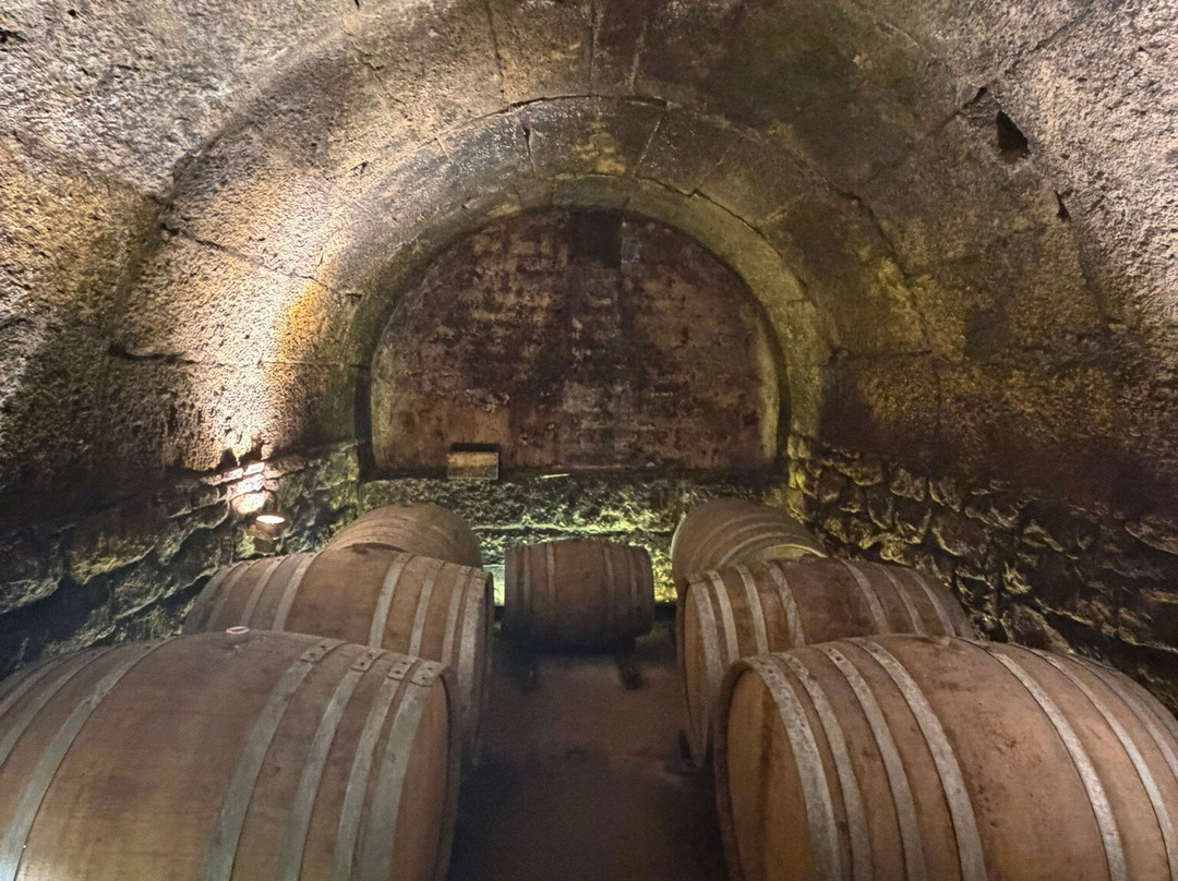 Bodegas Tritium-Cenicero必去景点