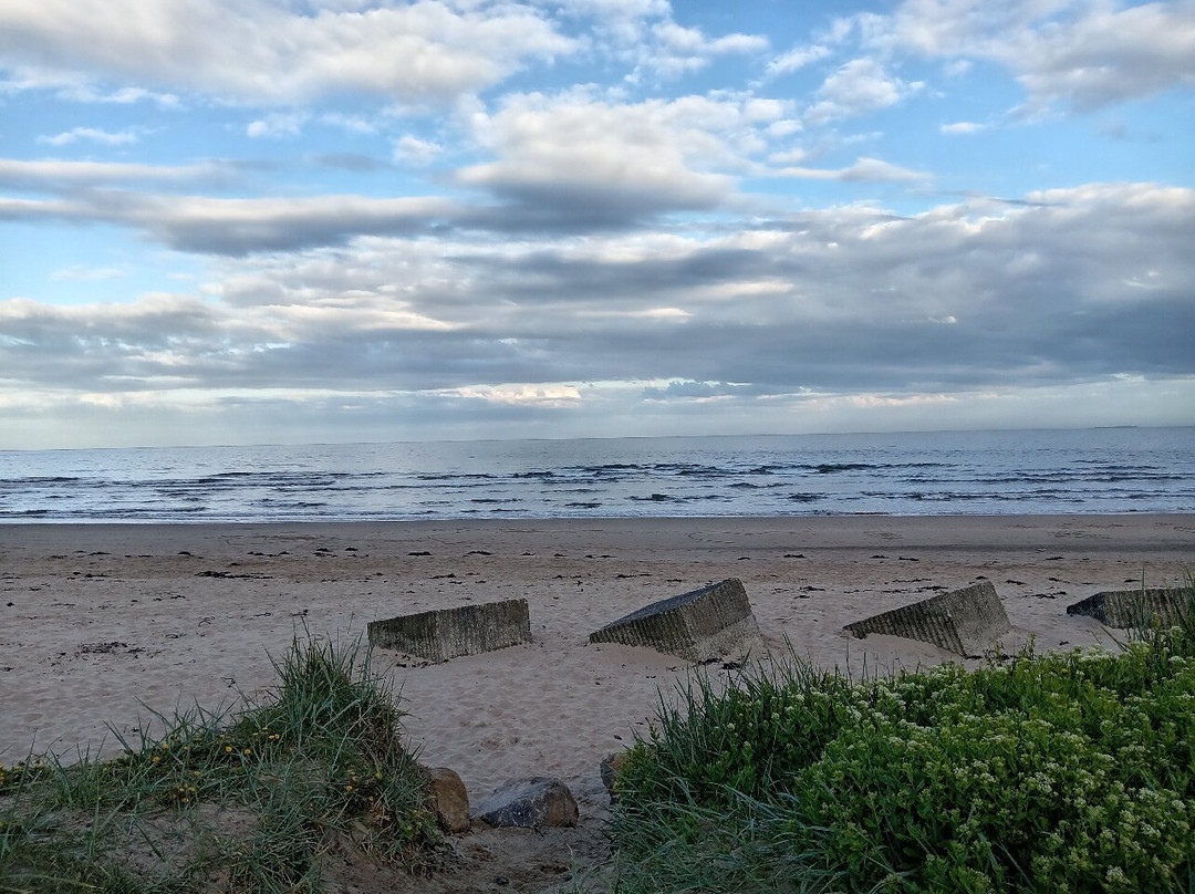 Alnmouth Beach-Alnmouth必去景点