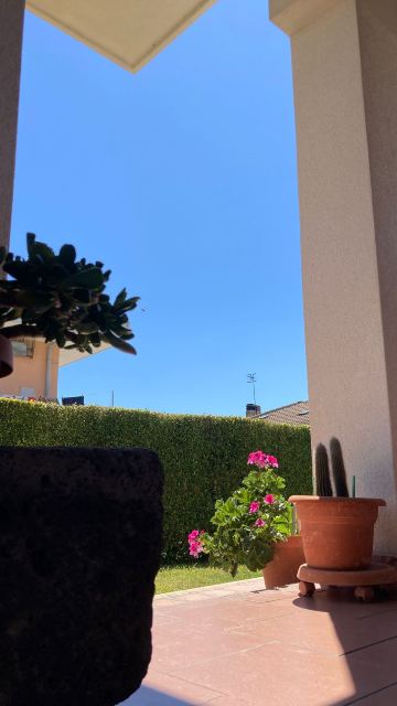 B&B Il Cavalluccio Marino-旅行者
