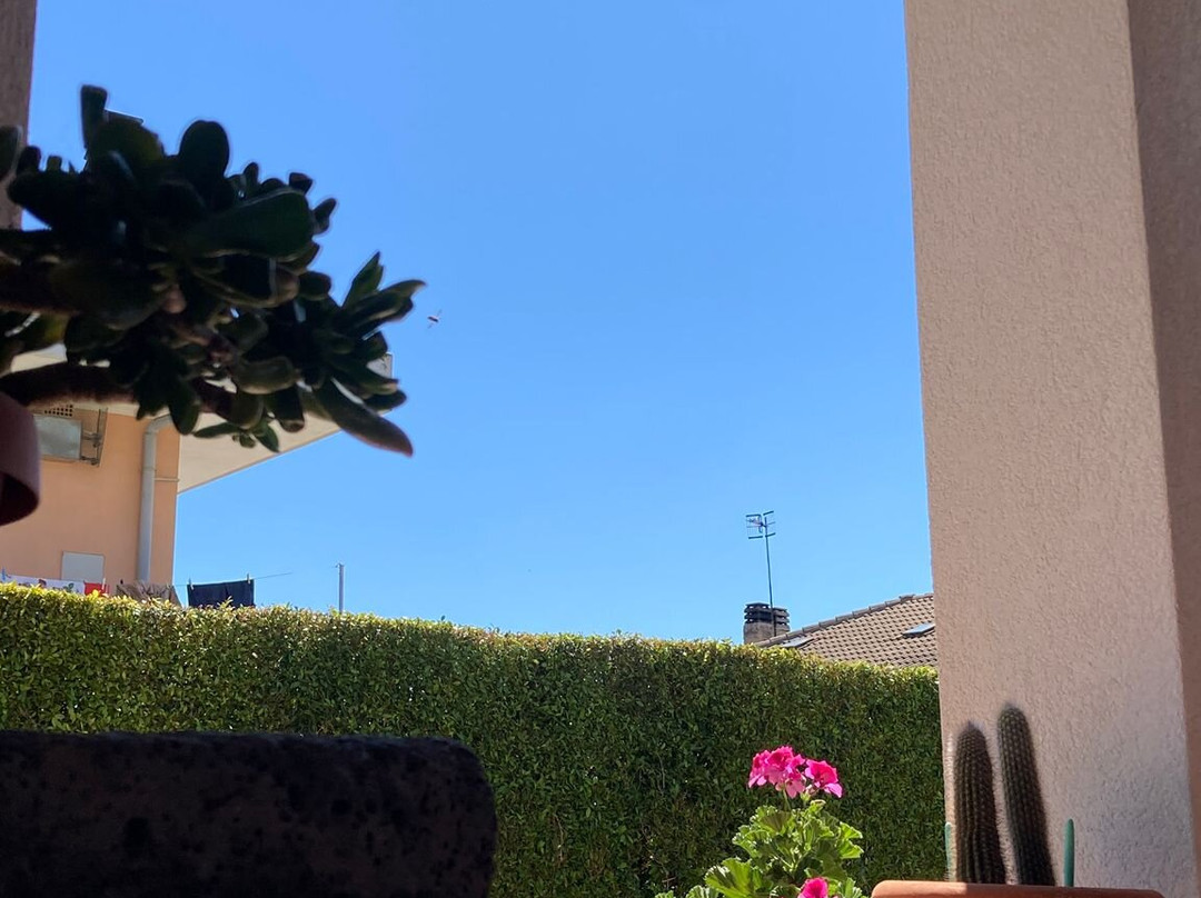 B&B Il Cavalluccio Marino主图