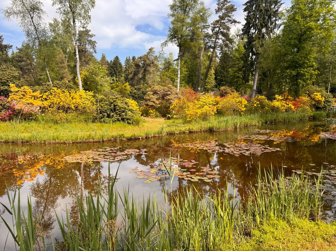 Park Seleger Moor-Rifferswil必去景点