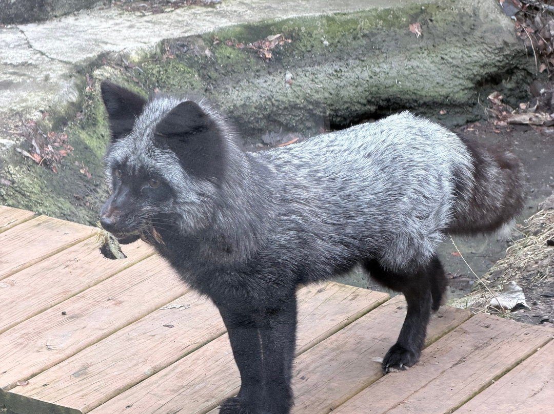 Bay Beach Wildlife Sanctuary-格林贝必去景点