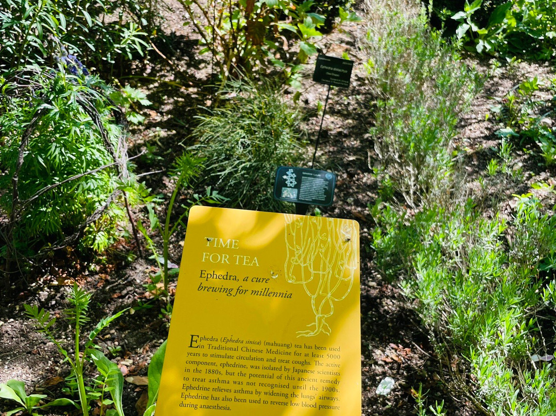 University of Oxford Botanic Garden-牛津必去景点