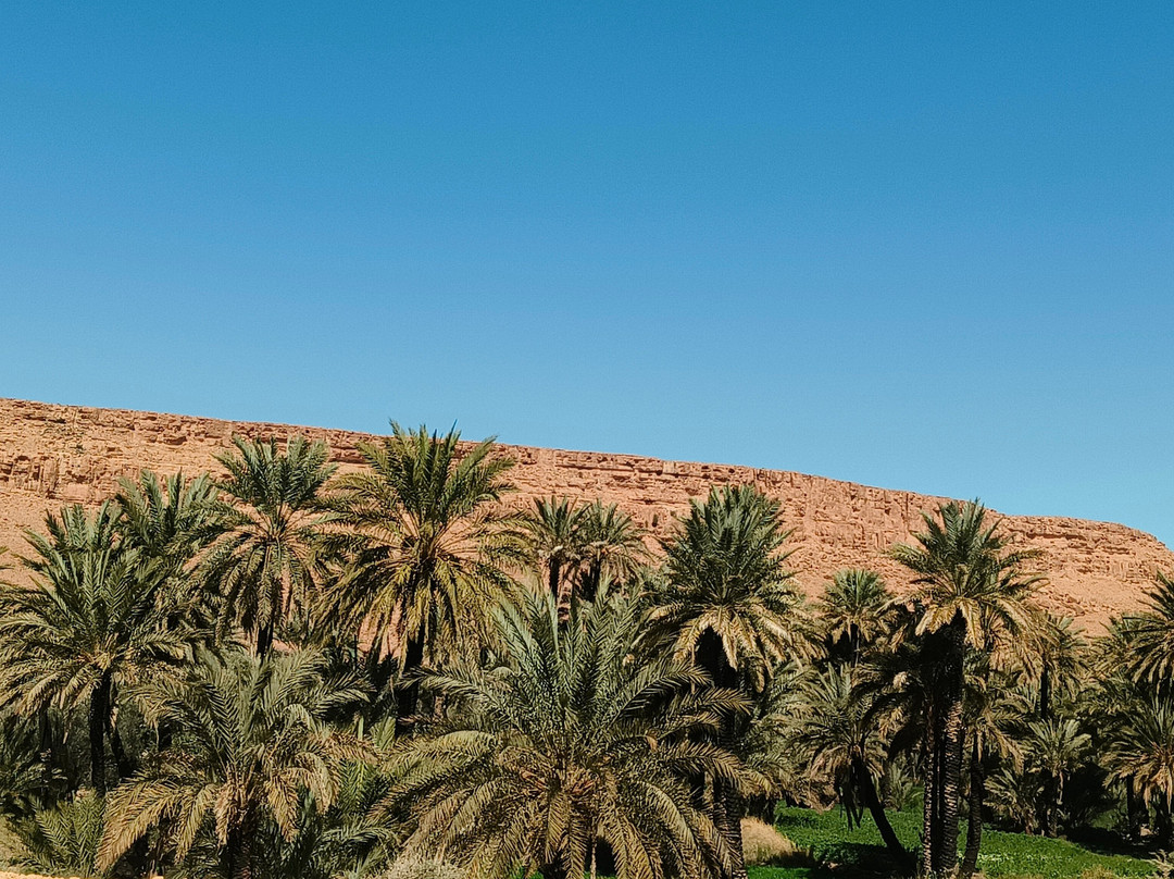 Sahara 4x4 viajes - Day Tours-瓦尔扎扎特必去景点