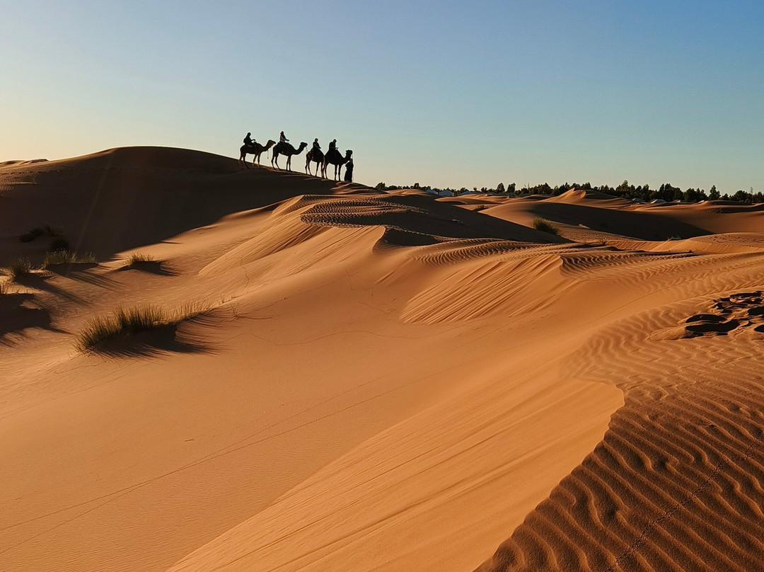 Sahara 4x4 viajes - Day Tours-瓦尔扎扎特必去景点