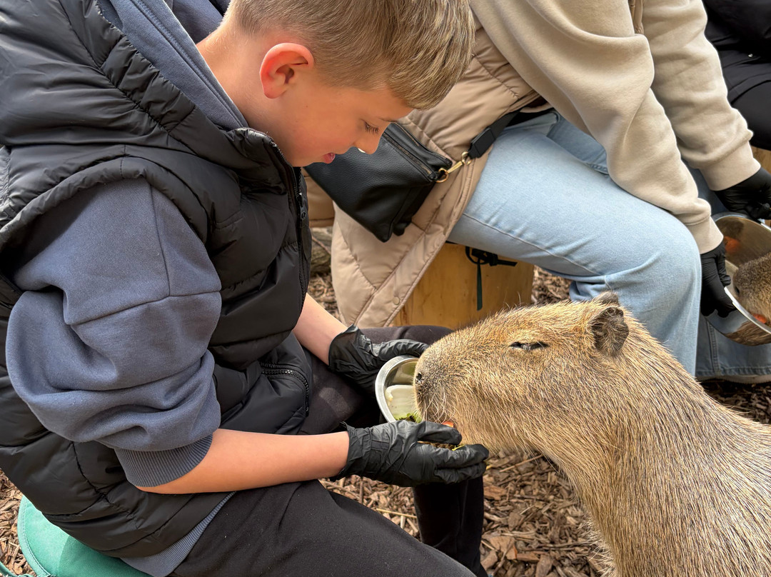 Twycross Zoo-Atherstone必去景点