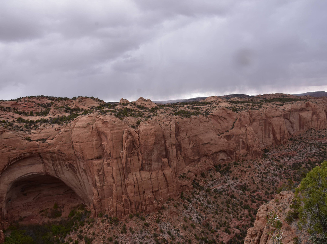 Navajo National Monument-Shonto必去景点