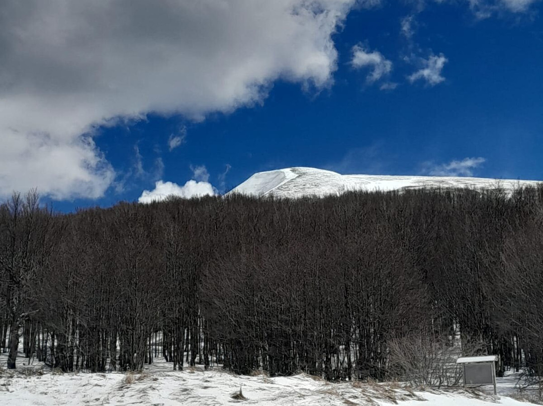 Passo di Pradarena-Ligonchio必去景点