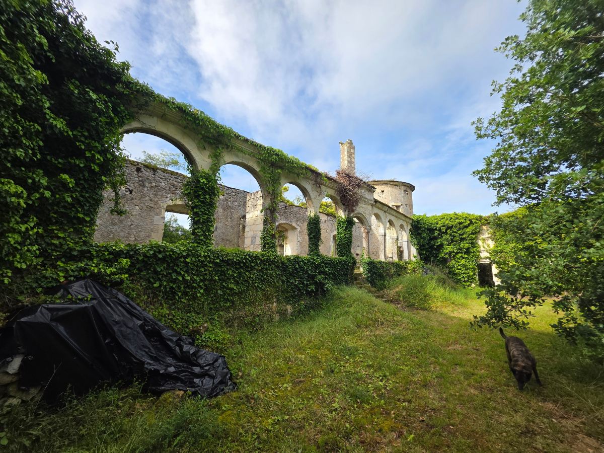 Le Vieux château de Hommes-旅行者
