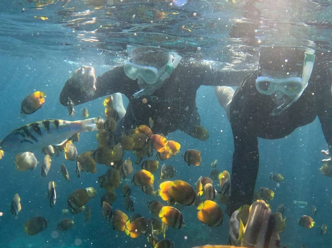 Ceningan Snorkeling Trip-努沙切宁安岛必去景点