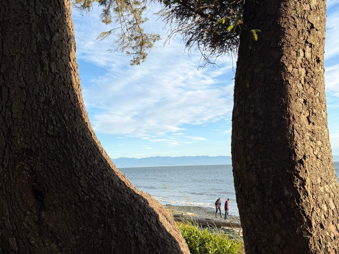 French Beach Provincial Park-苏克必去景点