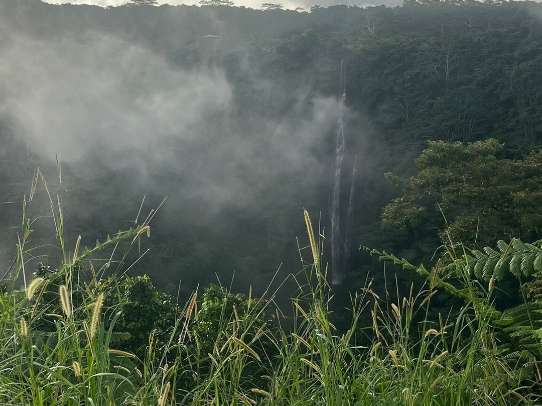 Papapapaitai Falls-阿皮亚必去景点