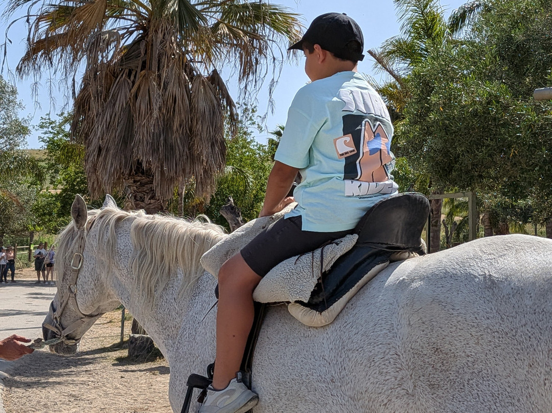 La Pequena Africa Animal Reserve-加的斯市必去景点