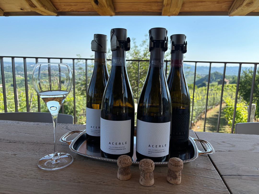 Azienda Agricola Acerle-Santo Stefano必去景点