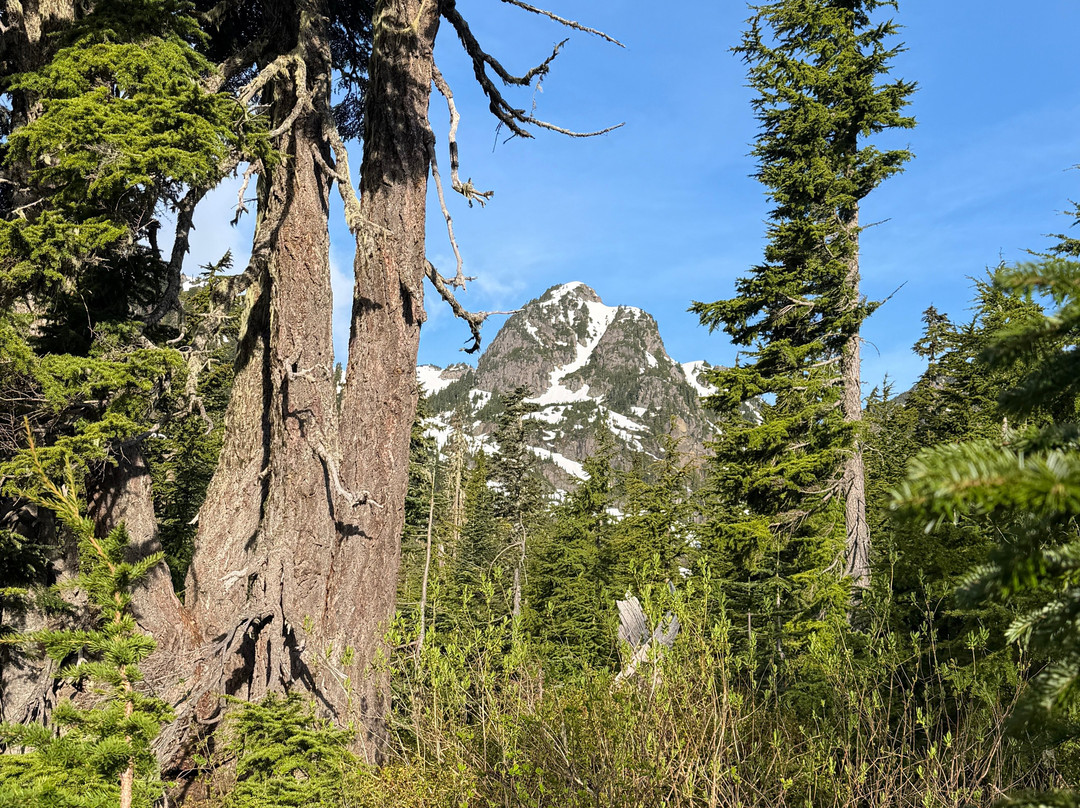 Picture Lake-Glacier必去景点