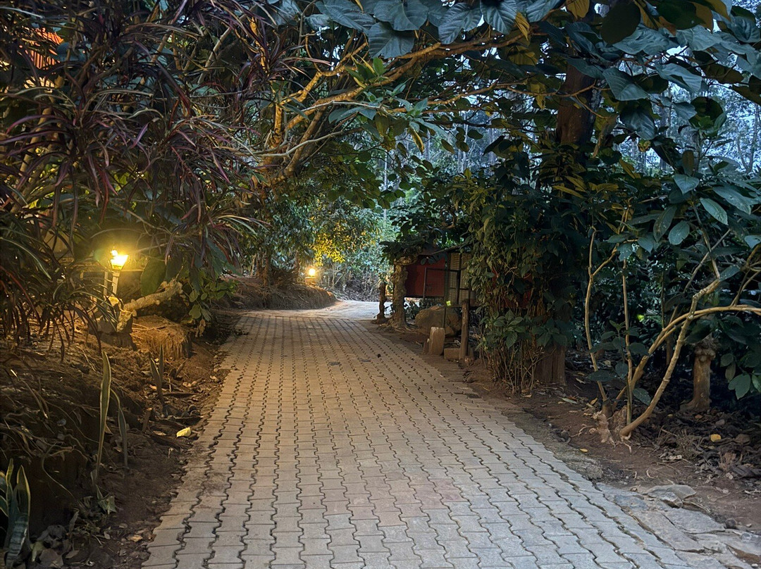 Natura Vista A Plantation Stay主图
