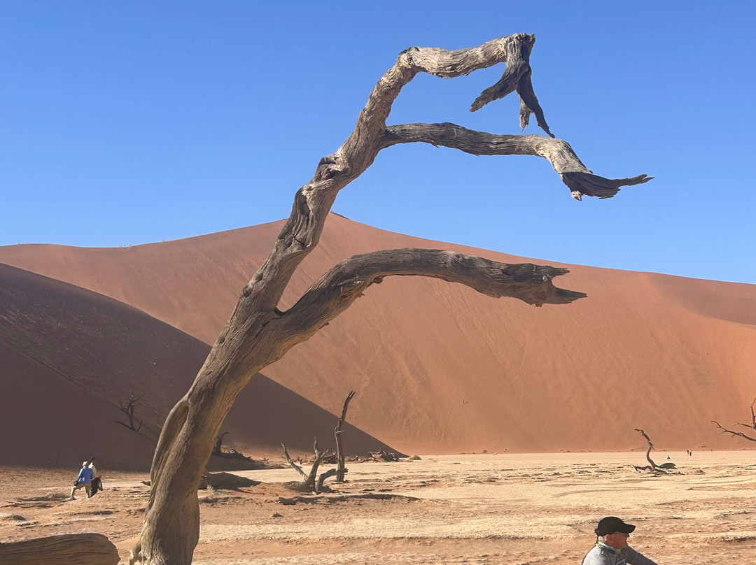 Namibia Tours & Safaris-斯瓦科普蒙德必去景点