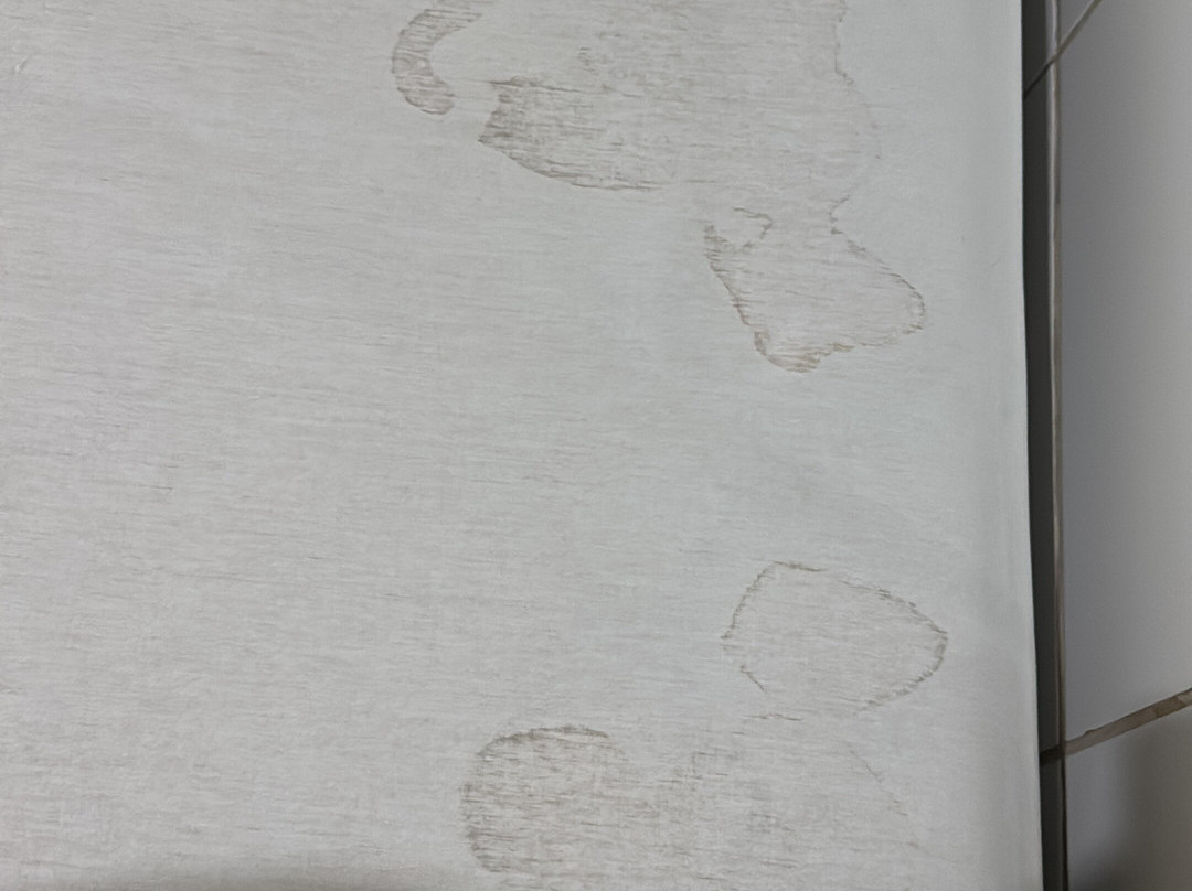 卡诺阿斯威乐别墅酒店主图