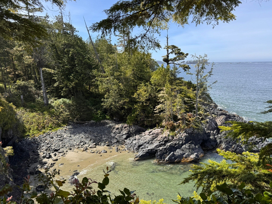 Tonquin Park-托菲诺必去景点