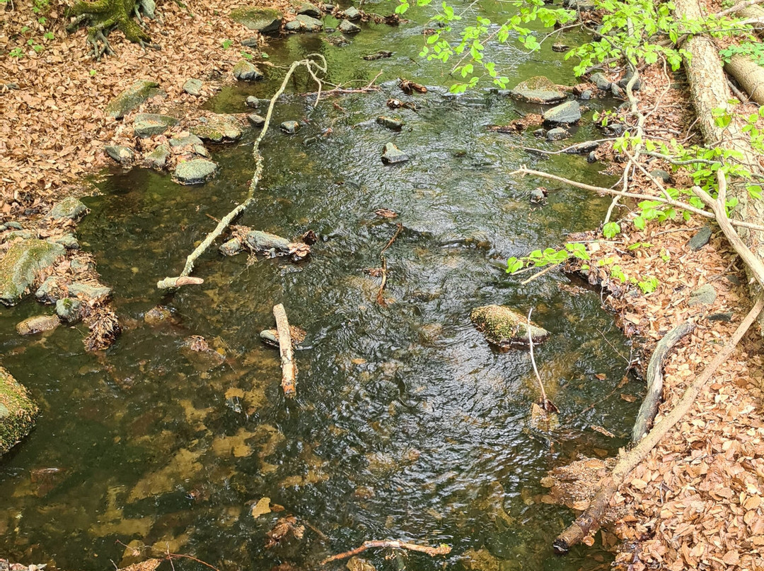 Forsakar Nature Reserve-Degeberga必去景点
