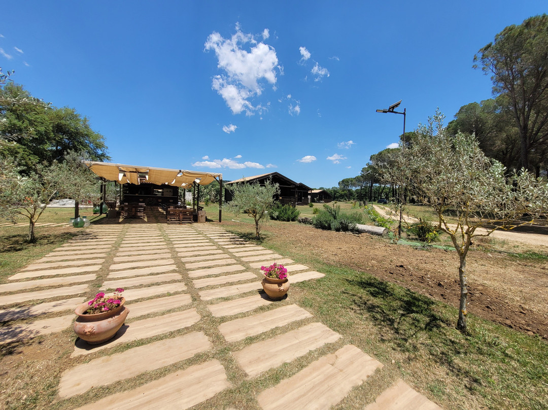 卡尔塔尼塞塔省酒店住宿-Rami Rural Resort