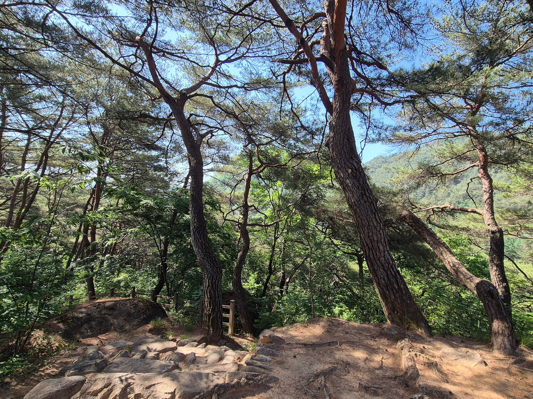 Yeongwol Yoseonjeong-宁越郡必去景点