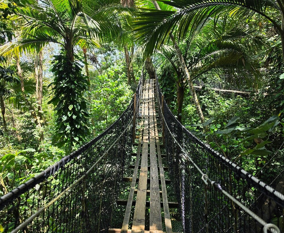 Zoo De Guadeloupe Au Parc Des Mamelles-Bouillante必去景点