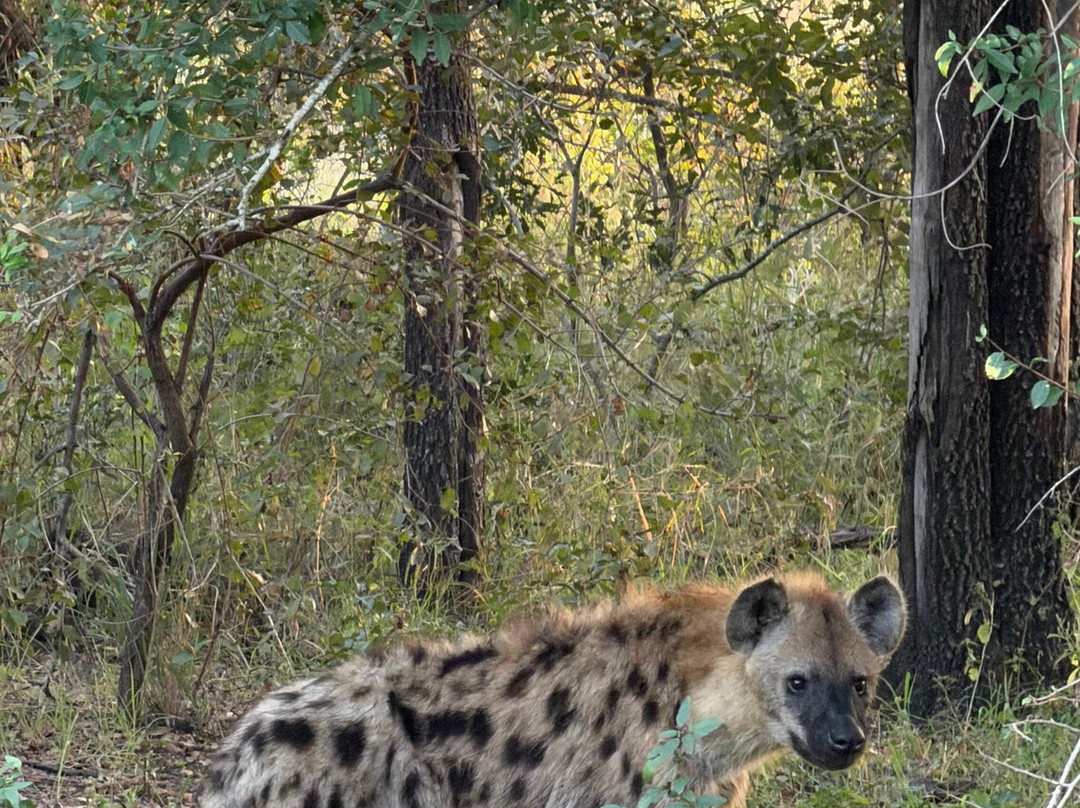 Southern Kruger Safaris-玛洛斯帕克必去景点