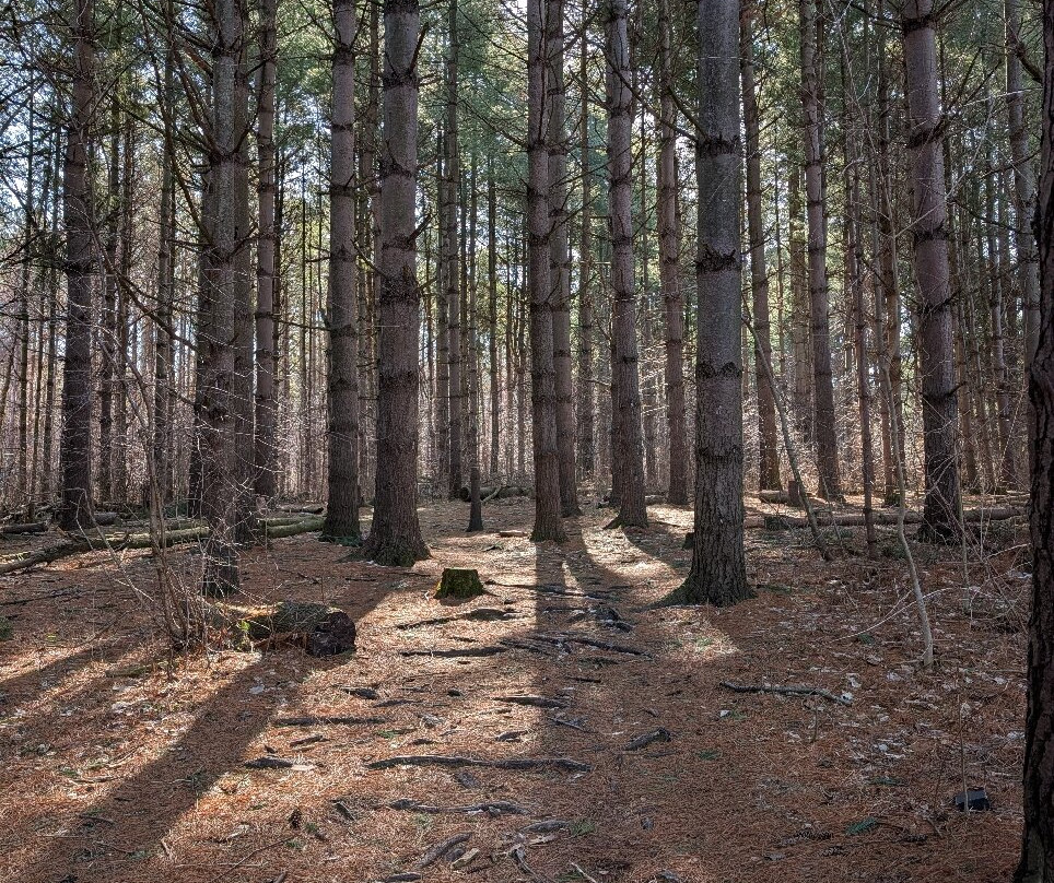 Christie Lake Conservation Area-邓达斯必去景点