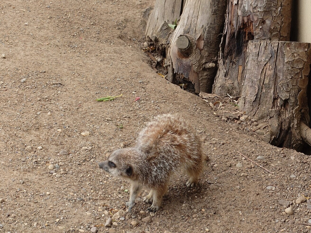 Filey Zoo-Filey必去景点