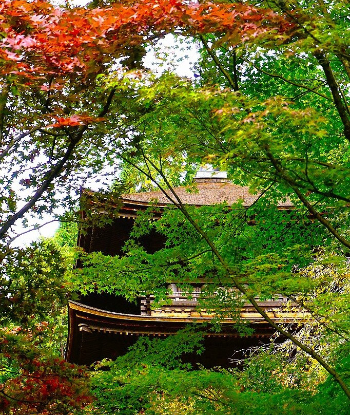 Kongorin-ji Temple-爱庄町必去景点