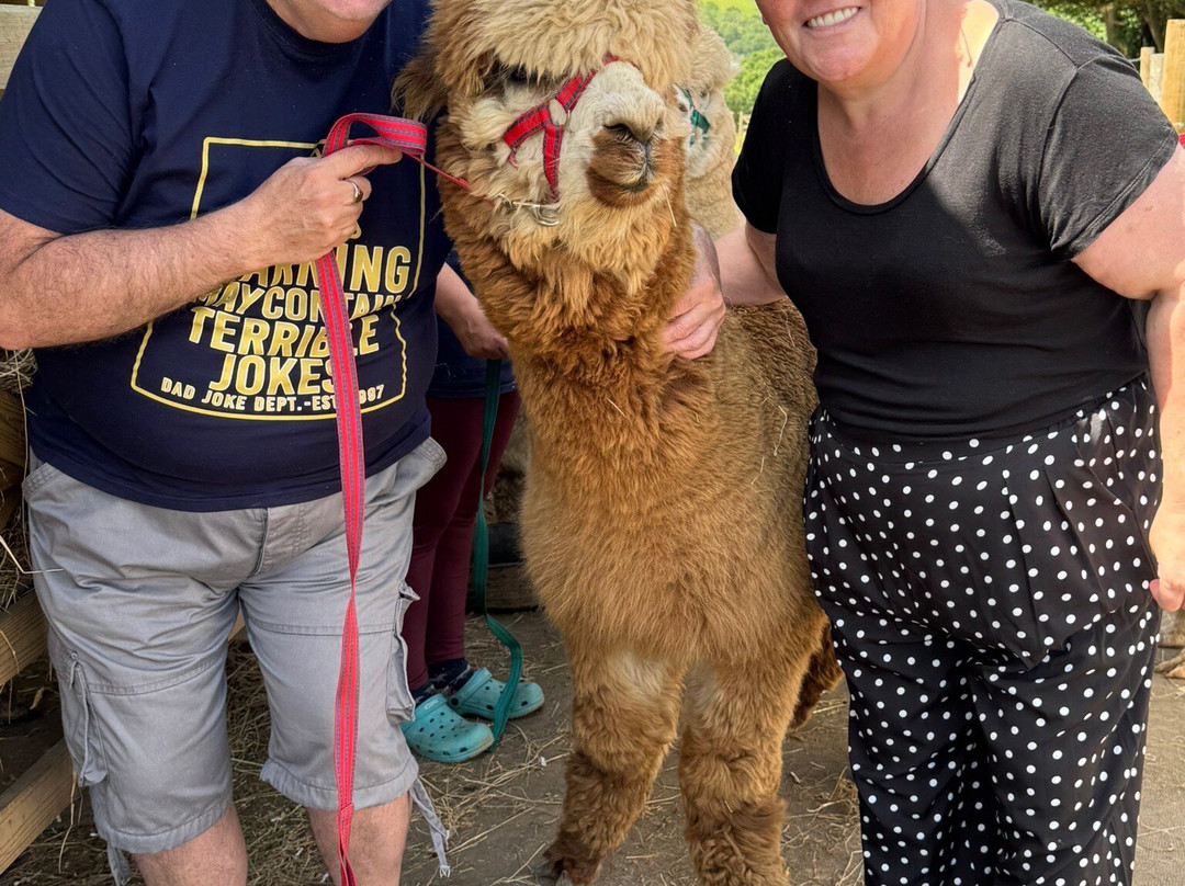 Popham Farm Alpaca Trekking-索尔塔什必去景点