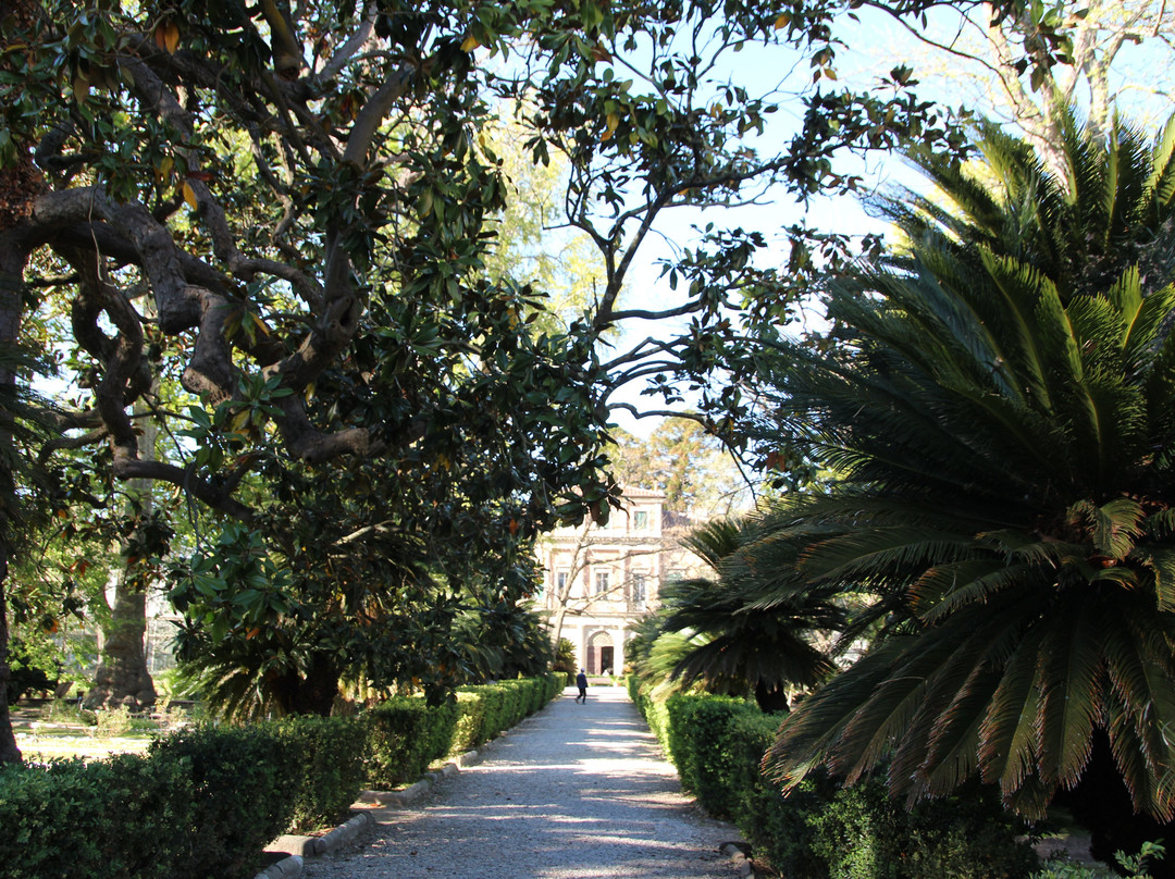 Orto e Museo Botanico di Pisa-比萨必去景点