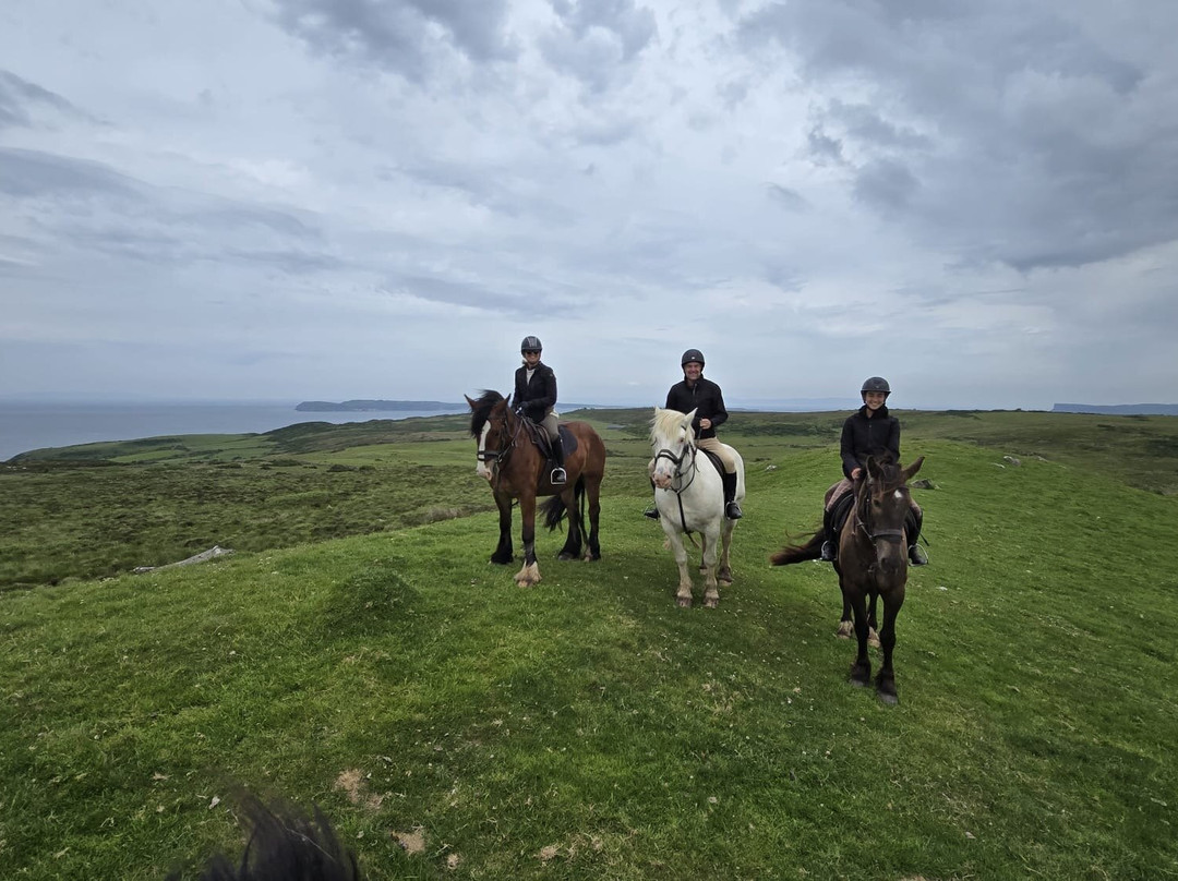 Bespoke Equestrian Ireland-都柏林必去景点