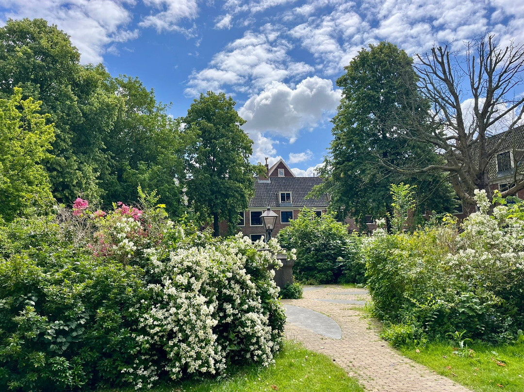 Proveniershof-哈勒姆必去景点