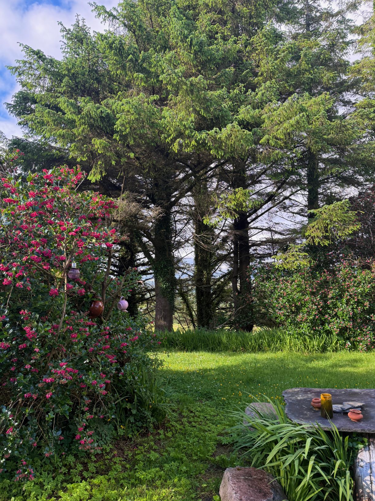 The Green Gate B&B Ardara-旅行者