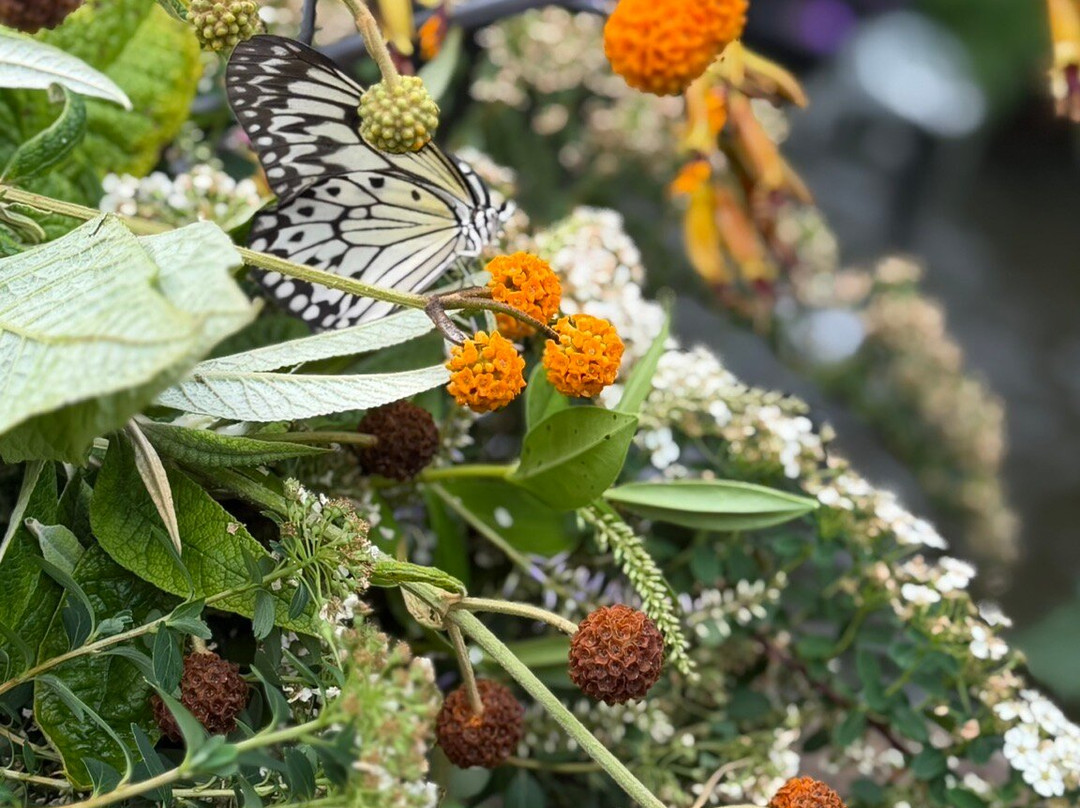 Seaforde Gardens and Tropical Butterfly House-Seaforde必去景点